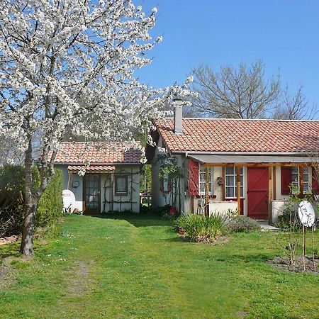 Guesthouse La Burle Парантис-ан-Борн Стая снимка